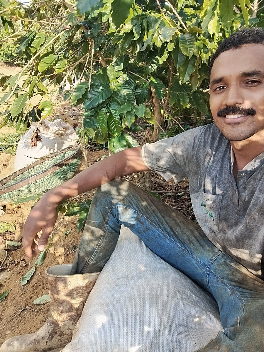 Waltão ⚡🔞 tweet media