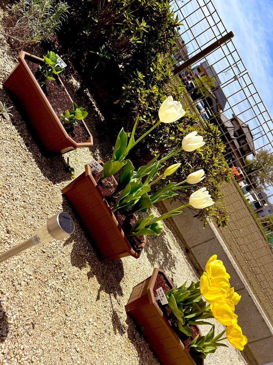 もち子 tweet media