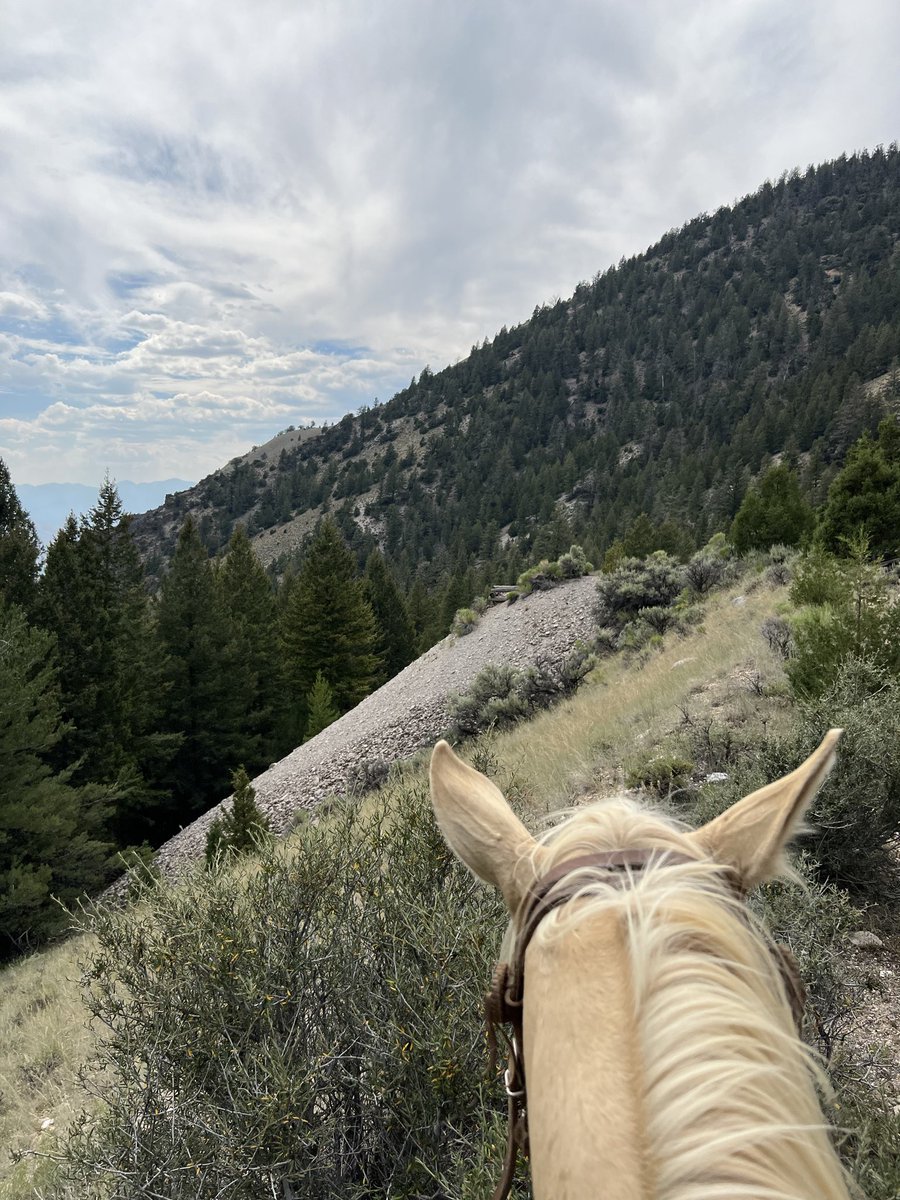 Braxton McCoy tweet media