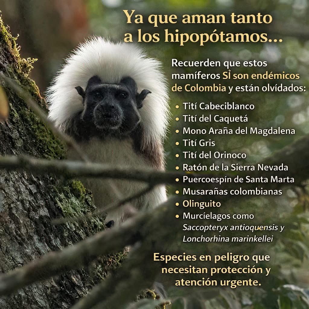 OSWALDO CORTES tweet media