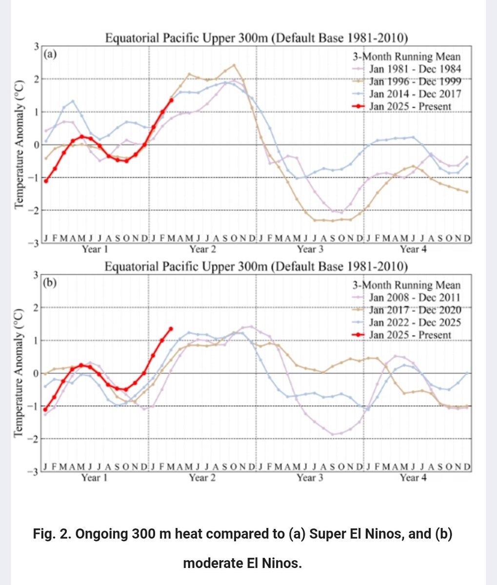 Leon Simons 🌍 tweet media