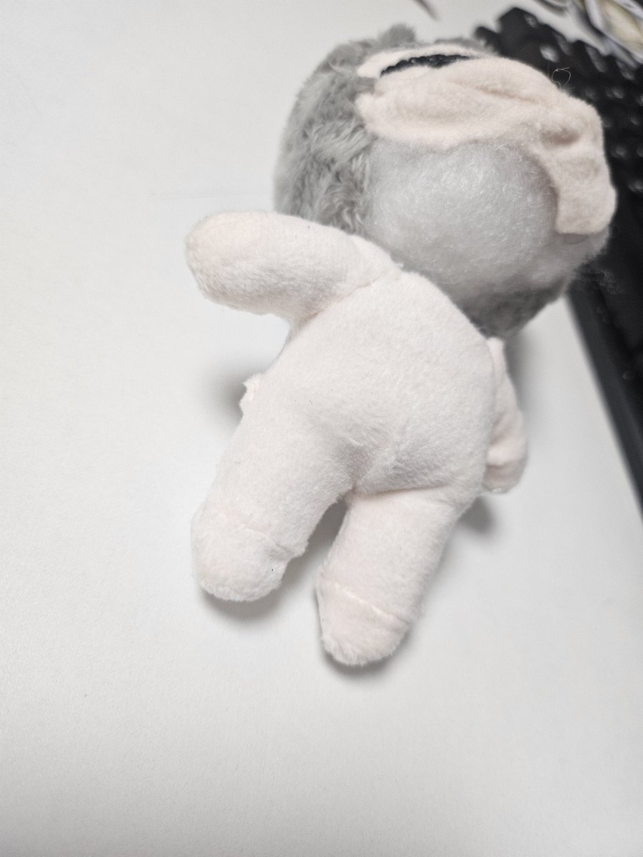 패션무새 tweet media