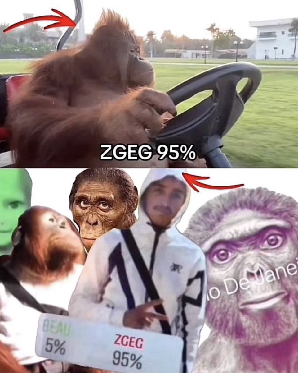 islem🇩🇿#𝒌𝒏𝒊𝒄𝒌𝒔 tweet media