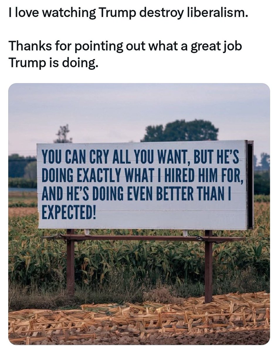 Paul Steiner tweet media