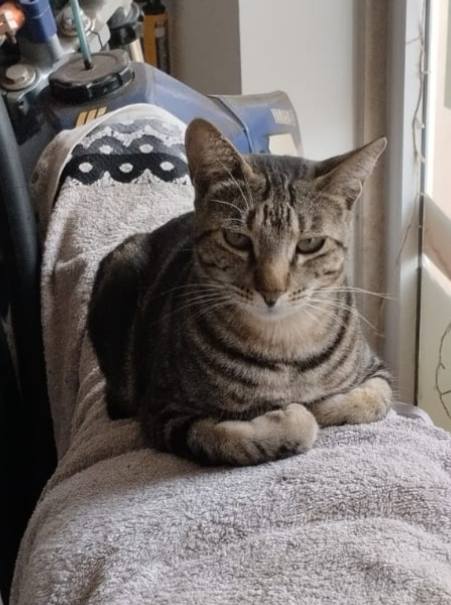 Amigues patud da Mia em Cabo Verde tweet media