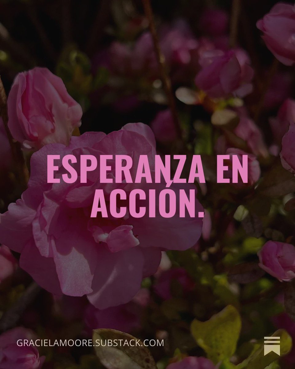 Graciela Moore tweet media