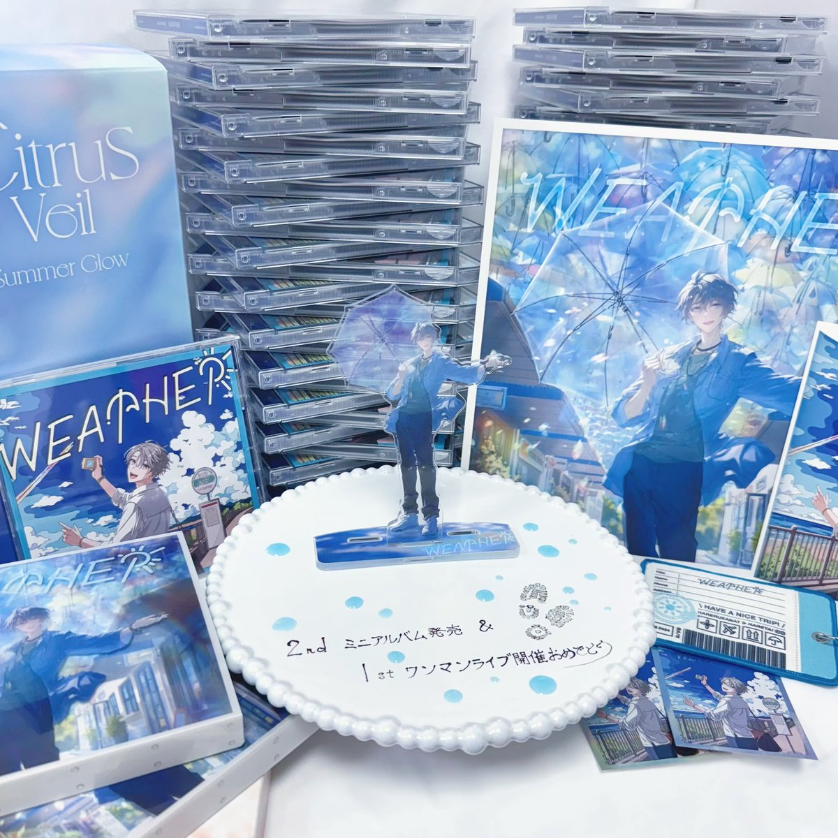 ⋆˙⟡ tweet media