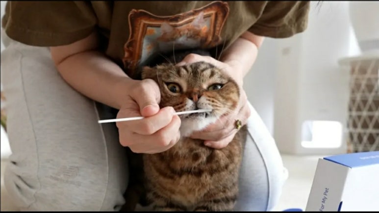 용가리다 tweet media