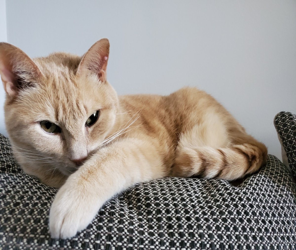 TiMeTeLl tweet media