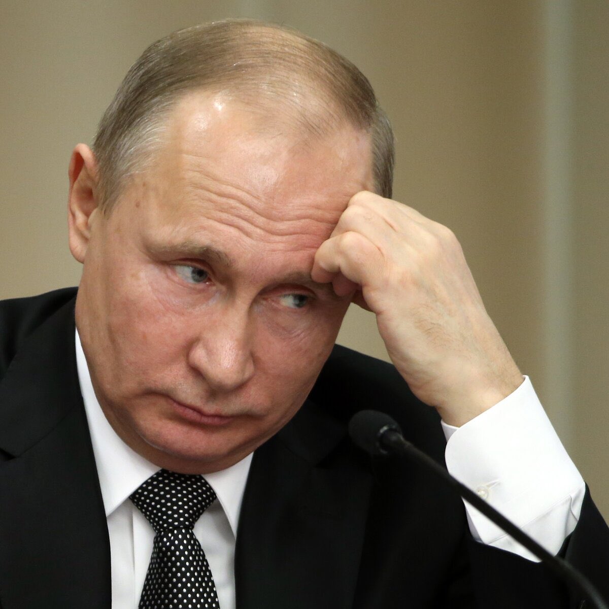 Вестник бури / Буревестник tweet media