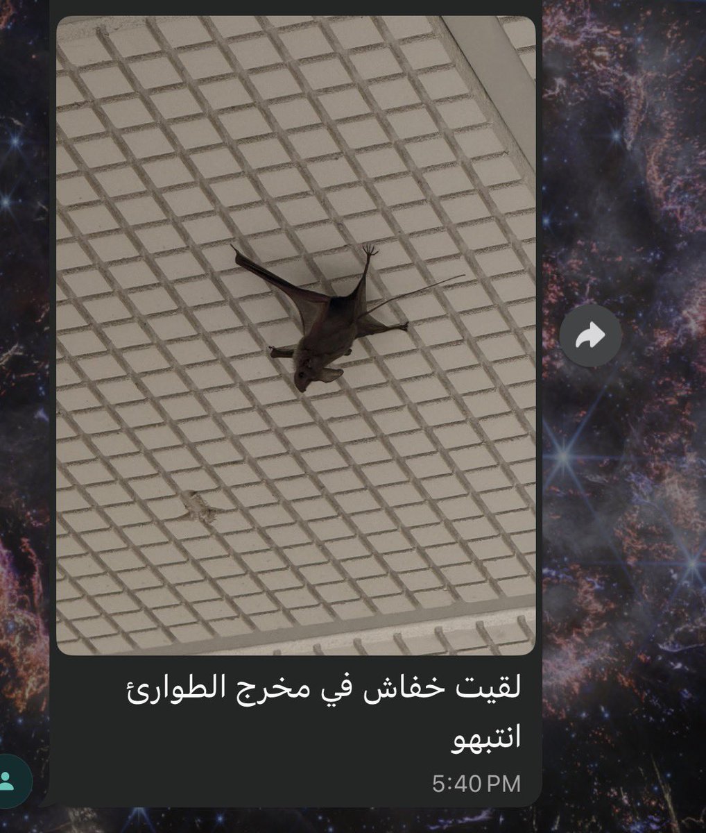 Sirin🪐 tweet media