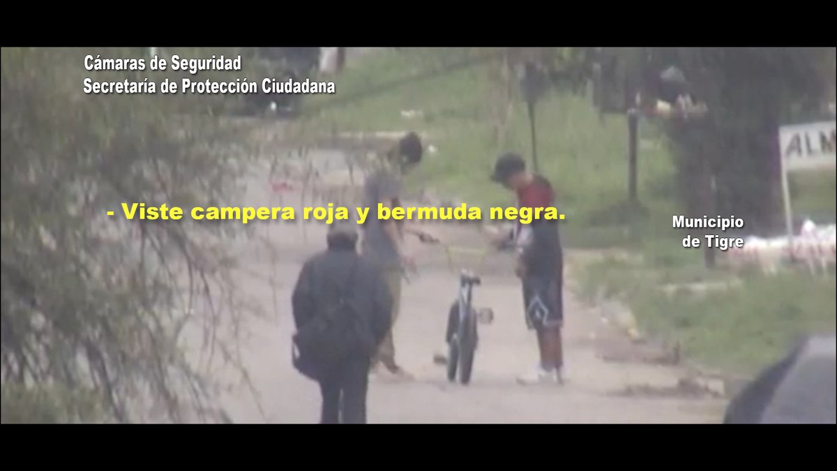 AlertaTigre tweet media