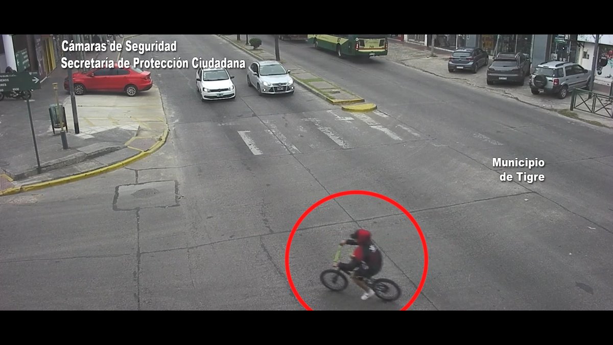 AlertaTigre tweet media