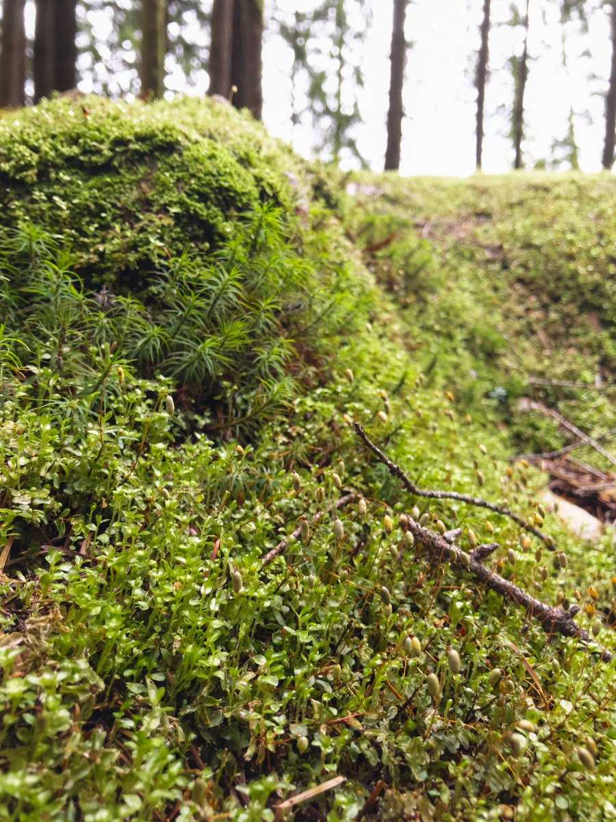 bea ☘️ tweet media