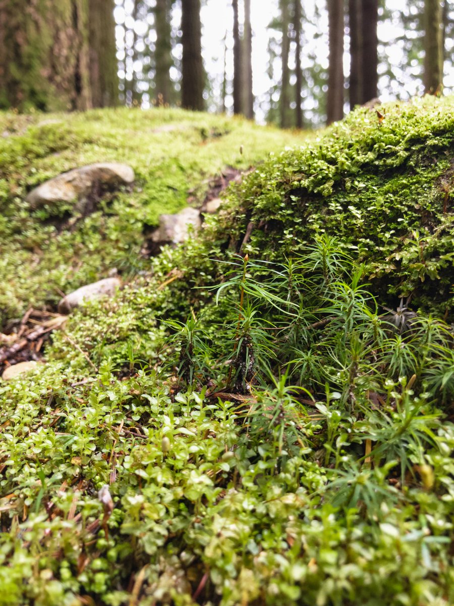 bea ☘️ tweet media