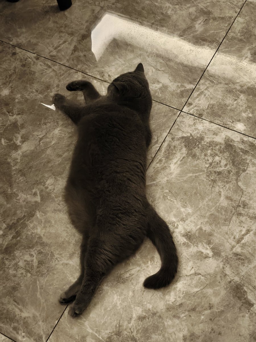 3222号工具人 tweet media