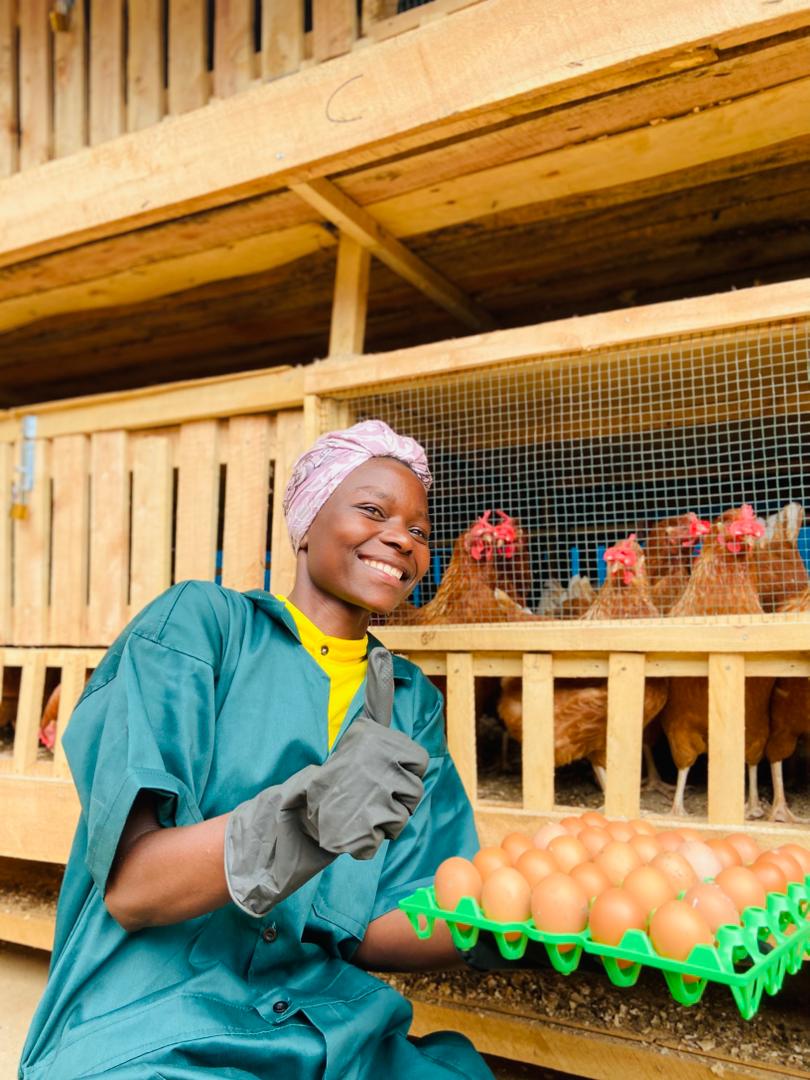 IImbaraga's tweet photo. TWIYUBAKE Bunyunju, one of IMBARAGA’s youth groups in Rutsiro District, is making notable progress in poultry farming. The 30 young women, who began with no prior experience, have so far recorded 72,536 eggs worth 10,880,400 RWF since September 2025. https://t.co/DnZh0u4ep9