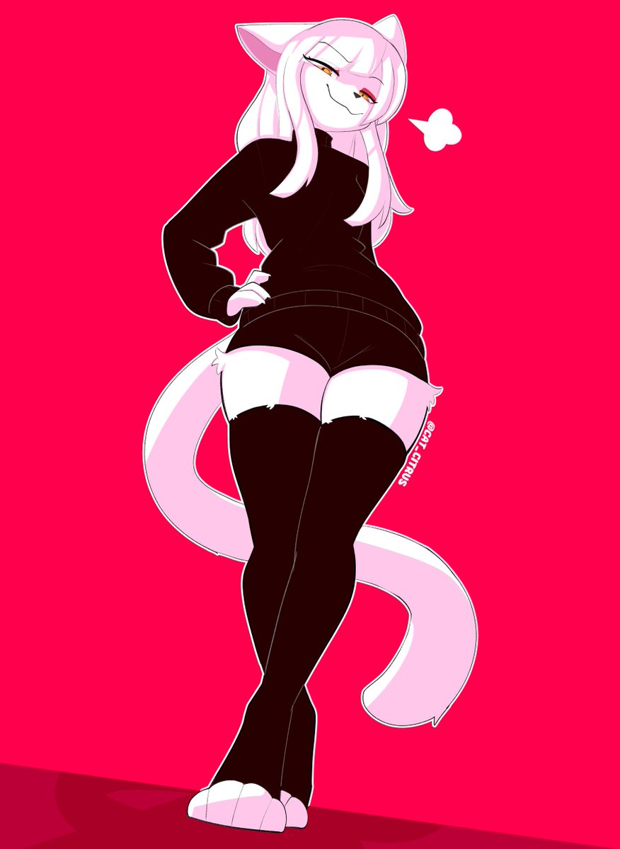 🍊Citrus Cat🍊 tweet media