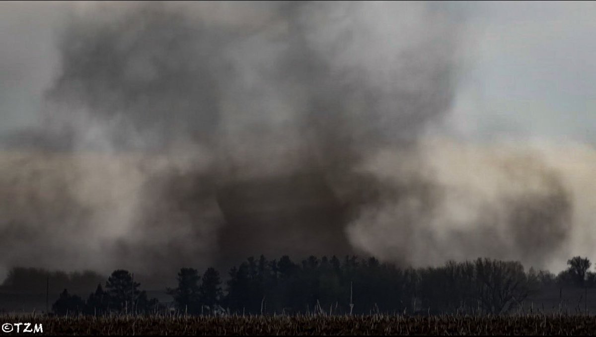 Jaden Pappenheim tweet media