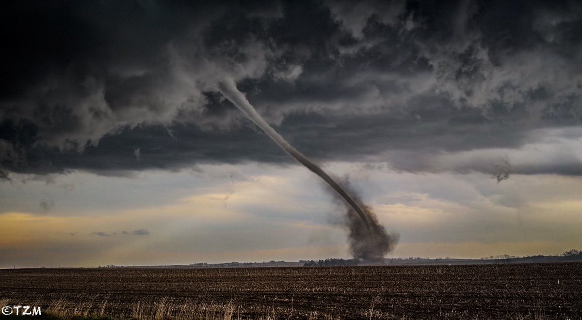 Jaden Pappenheim tweet media