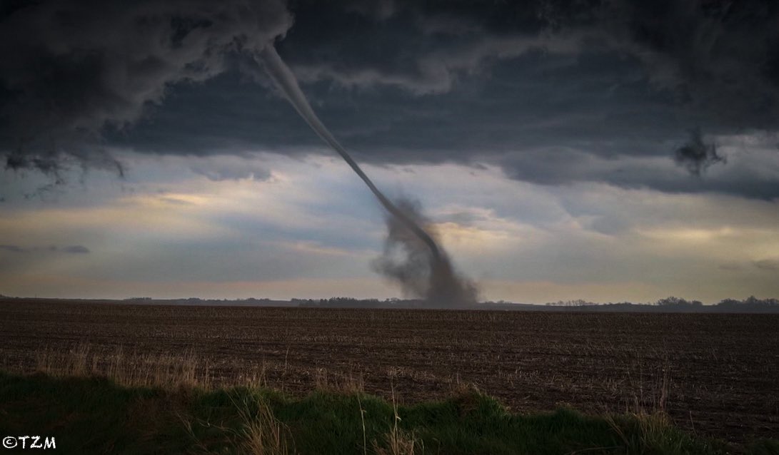 Jaden Pappenheim tweet media