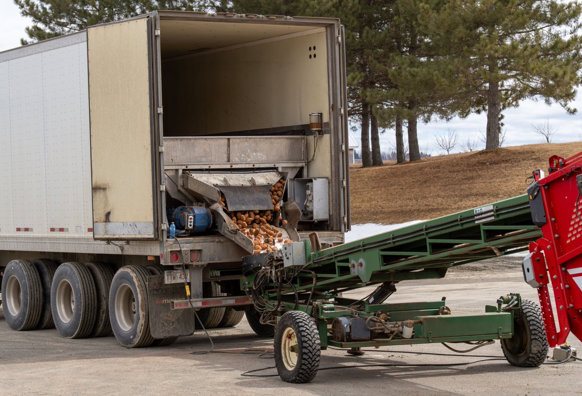 POTATOESNB's tweet photo. 🥔 Spring is in motion across New Brunswick!
Farms are now receiving their seed potatoes, marking the start of another growing season. As these shipments arrive, growers are getting ready for the next step—cutting seed—to ensure each piece is perfectly prepared for planting. https://t.co/UpCEKNdoBm