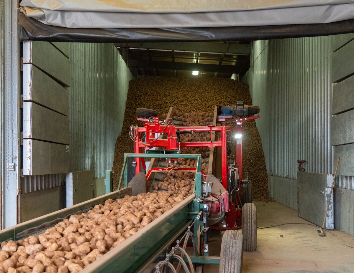 POTATOESNB's tweet photo. 🥔 Spring is in motion across New Brunswick!
Farms are now receiving their seed potatoes, marking the start of another growing season. As these shipments arrive, growers are getting ready for the next step—cutting seed—to ensure each piece is perfectly prepared for planting. https://t.co/UpCEKNdoBm