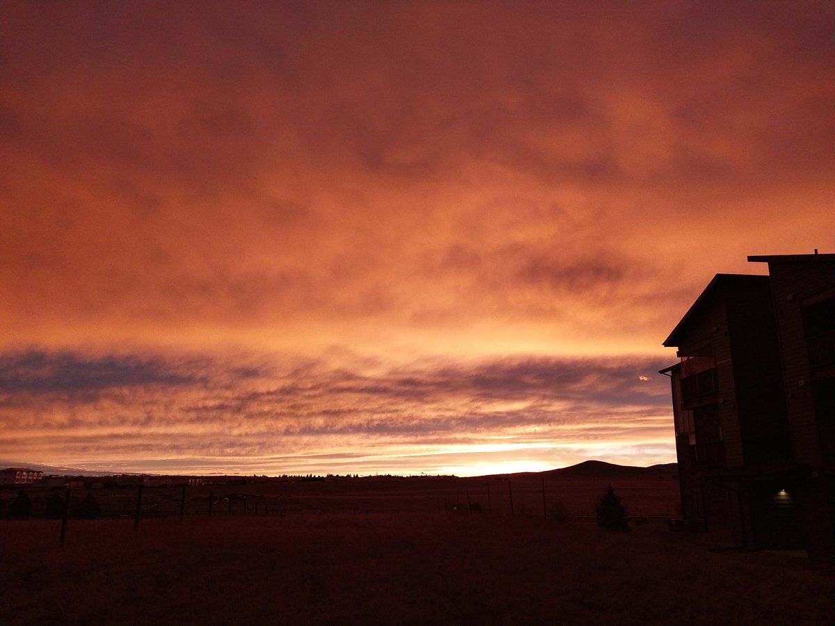 Corps3_Clown's tweet image. Bro im so freaking tired of being fat. Im just gonna stop eating. I hate this. I hate my body. #edtwt #weightloss