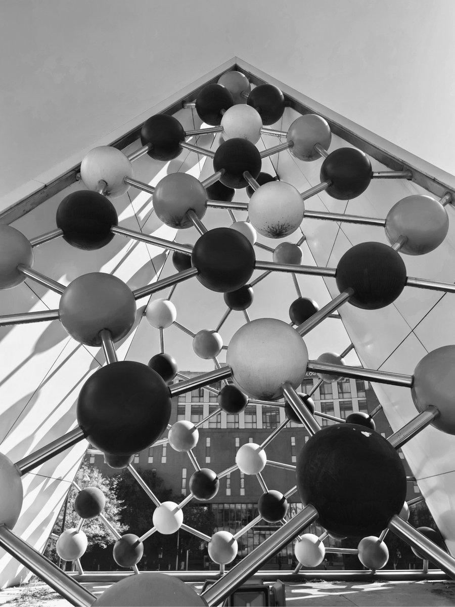 Annebeth Ruiter tweet media