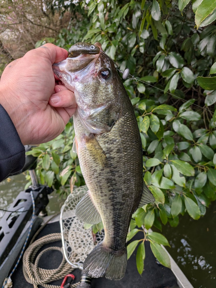 ゆーさん釣り師 tweet media