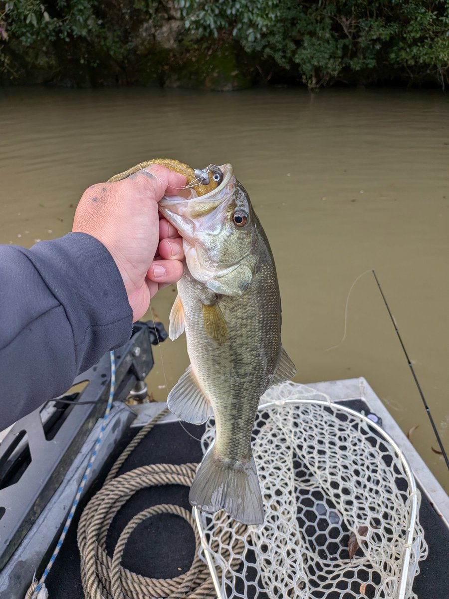 ゆーさん釣り師 tweet media