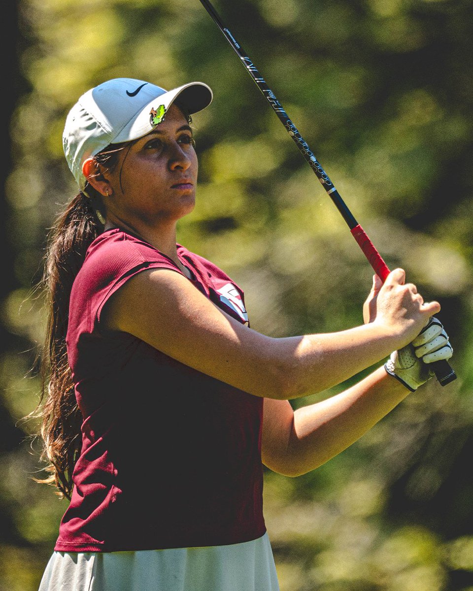 BCUgolf's tweet photo. IT ALL COMES DOWN TO TODAY.

📊 https://t.co/io6xbMiDzp

#𝙃𝙖𝙞𝙡𝙒𝙞𝙡𝙙𝙘𝙖𝙩𝙨 | #𝙋𝙧𝙚𝙮𝙏𝙤𝙜𝙚𝙩𝙝𝙚𝙧 https://t.co/Ad7V5HVjL7