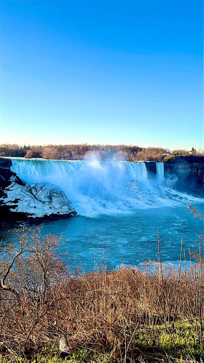 Brian Garrett tweet media