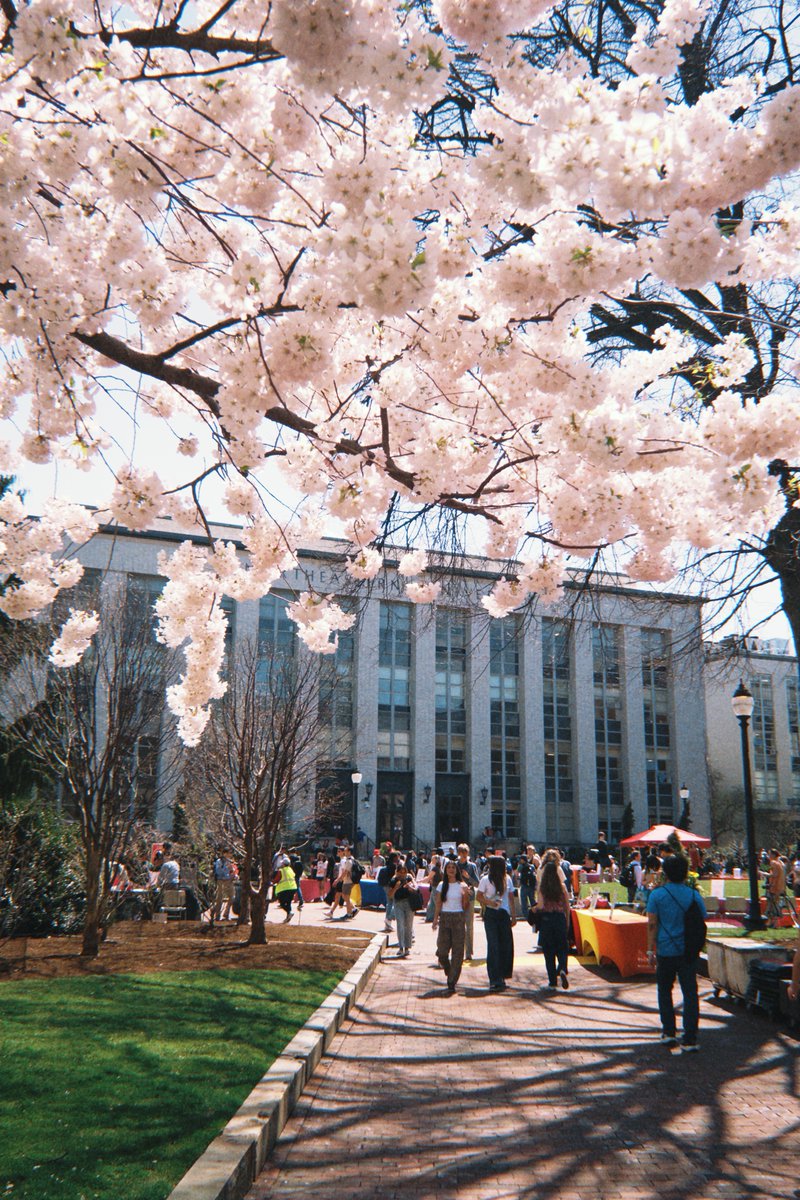 Northeastern University tweet media