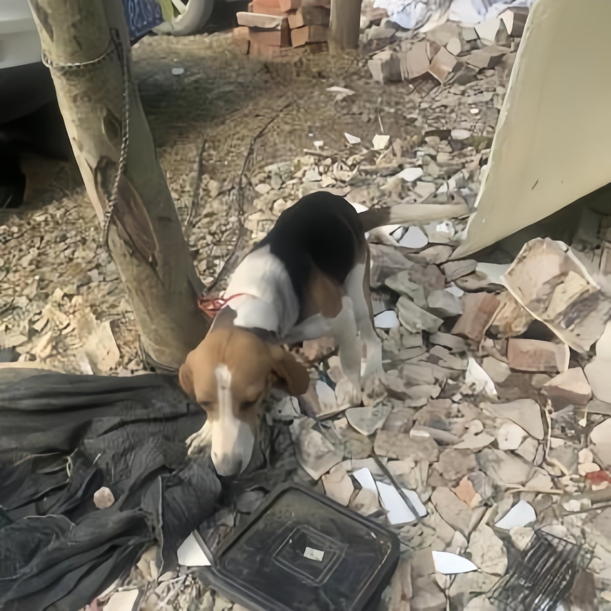 Ryan Latocha tweet media