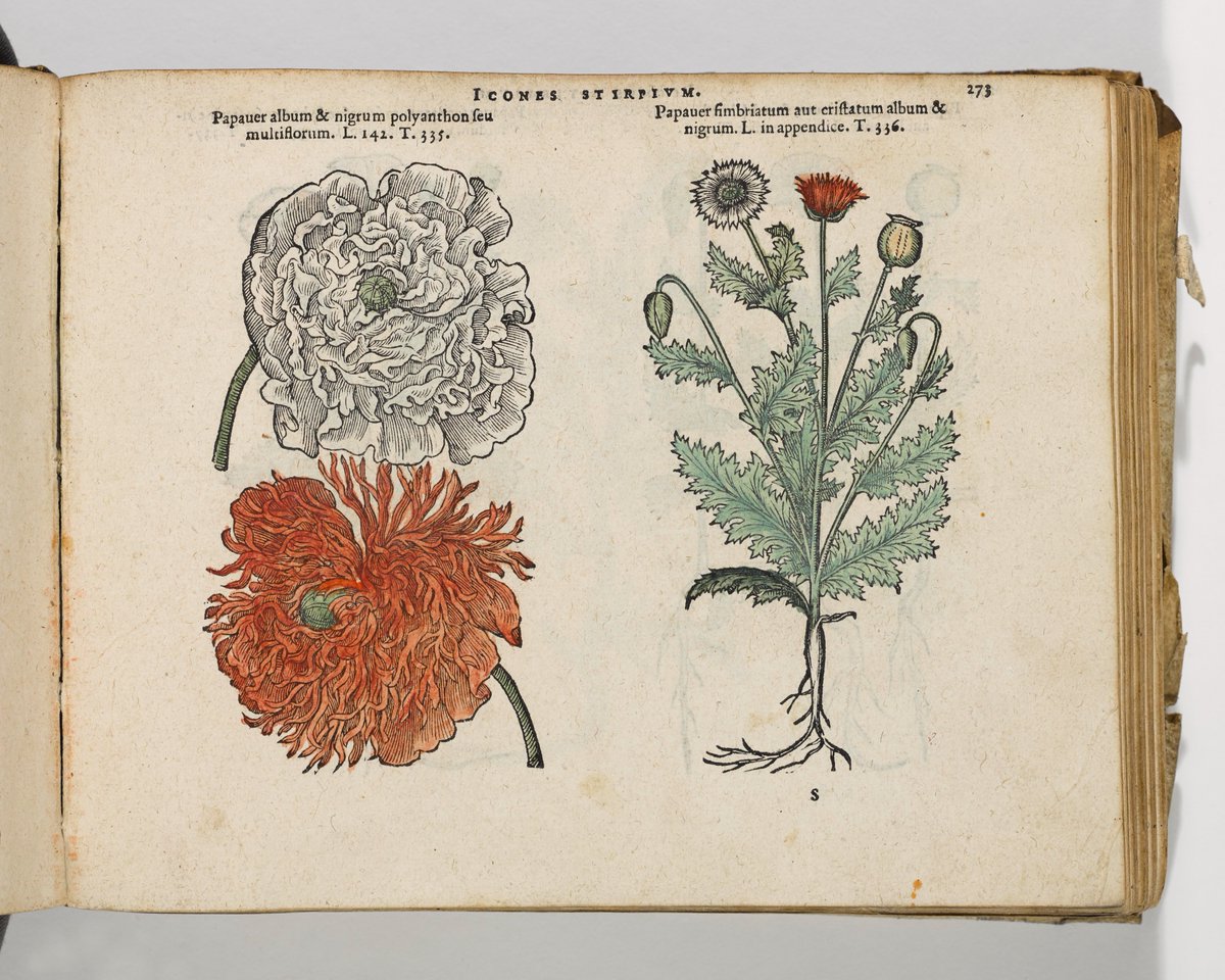 MarshsLibrary's tweet image. Applications for the inaugural 'Museum Plinth Project' close this Friday 17th April. The project offers artists a 6-month residency to engage with the collections of Marsh's Library or the National Museum of Ireland. visualartists.ie/advert/open-ca…