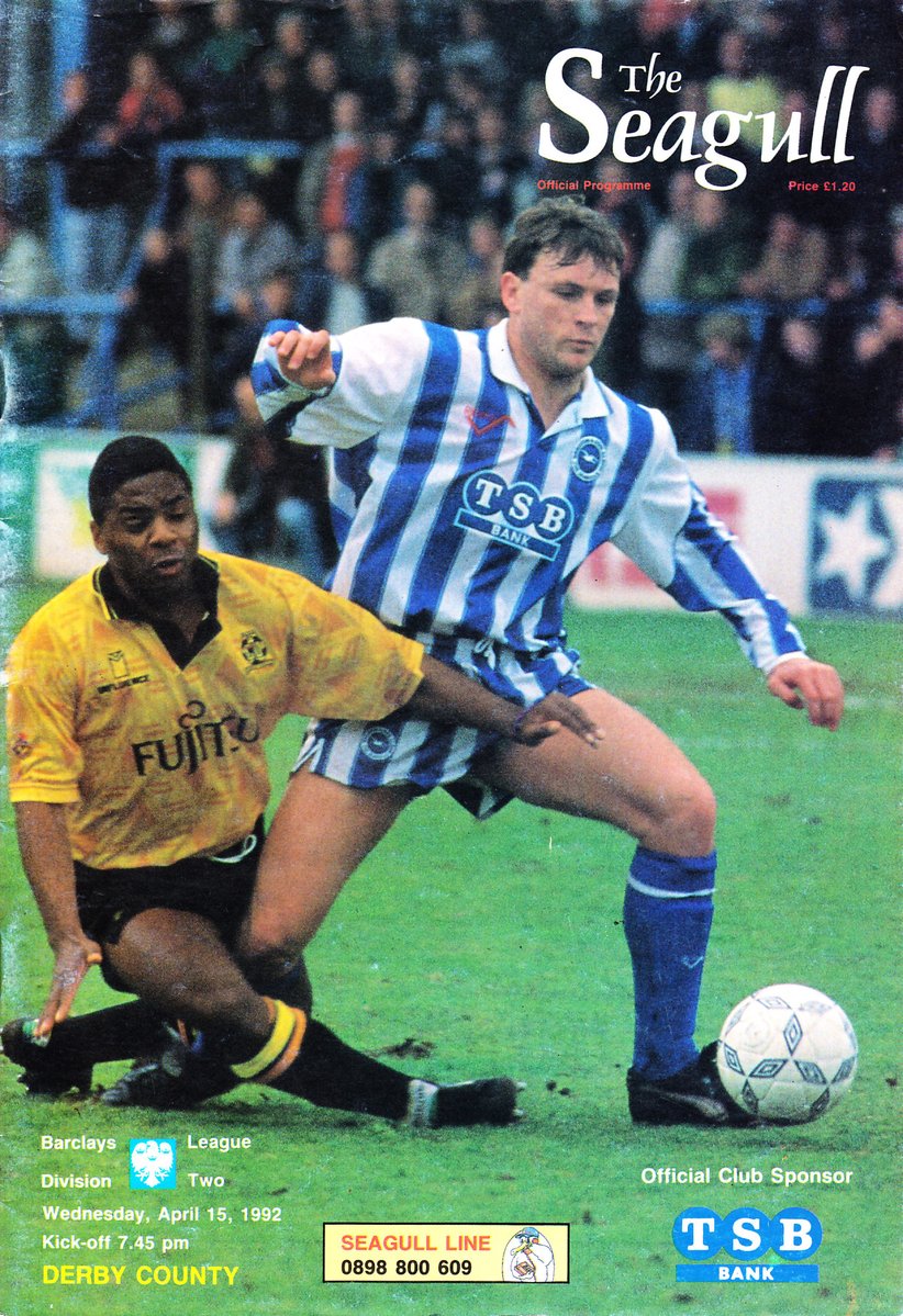 Seagulls Programmes tweet media