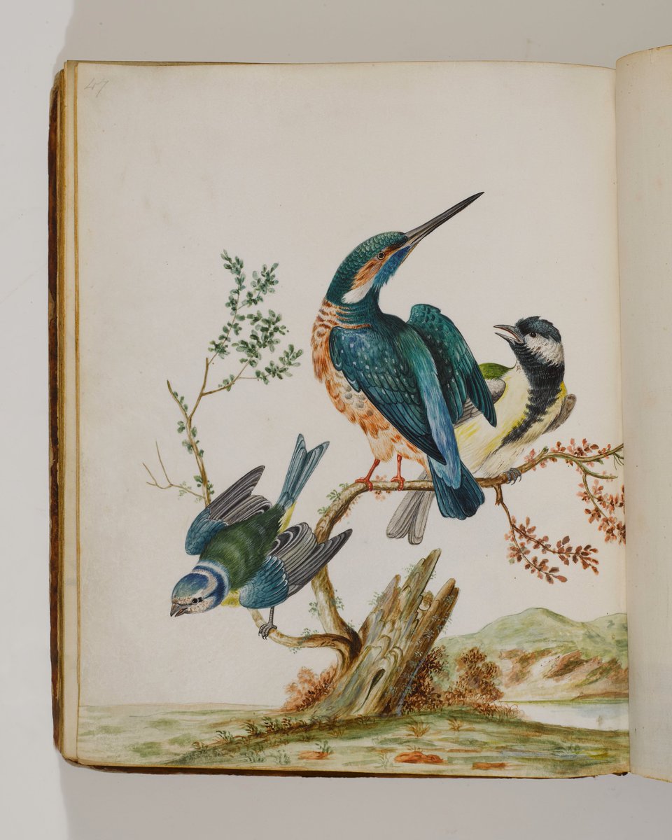 MarshsLibrary's tweet image. Applications for the inaugural 'Museum Plinth Project' close this Friday 17th April. The project offers artists a 6-month residency to engage with the collections of Marsh's Library or the National Museum of Ireland. visualartists.ie/advert/open-ca…