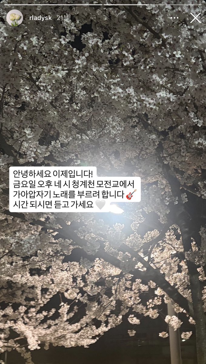 cl0u_db's tweet photo. 이번주금요일오후4시쯤서울에잇을예정이면서시간잇으신분?
ㄴ 제순이님께서 이번엔 청계천에서 봄 버스킹을 말아주신다고 합니다 ..  (앙♡) 
봄이랑 너무너무 잘 어울리는 아티스트에요
시간 되시면 꼭 한 번 놀러와보시길 ~~~ 🤞🏻💕 https://t.co/9EQtDBRPAV
