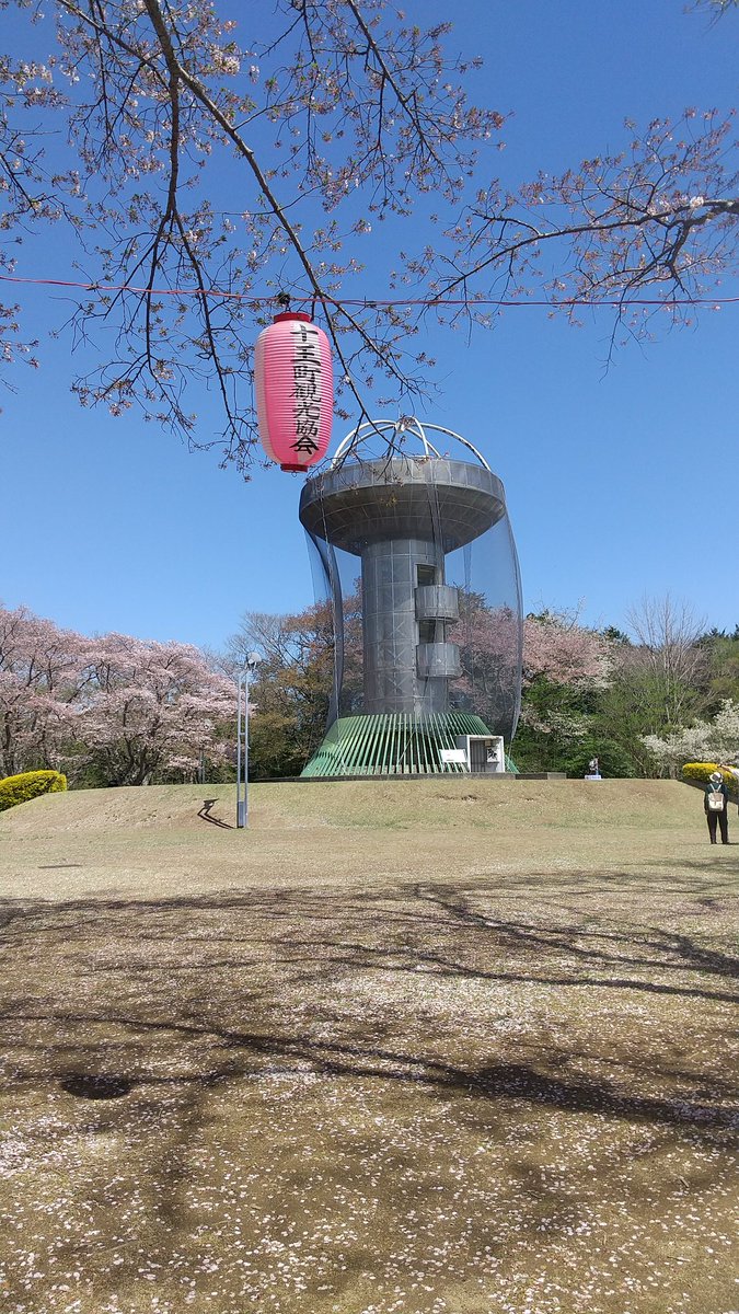 ヨコハマAA377 tweet media
