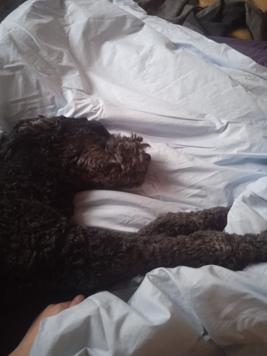 Святой Морок tweet media