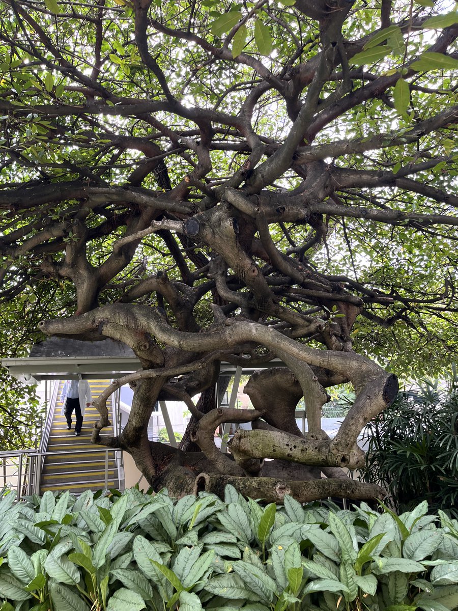 Maria Gabriela Escovar tweet media