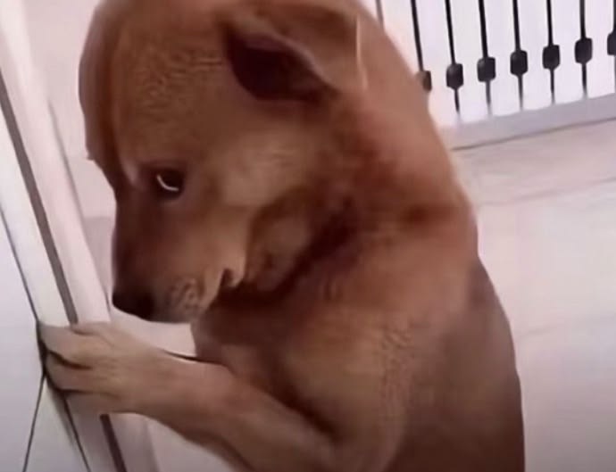 𝘦𝘭𝘳𝘢 tweet media