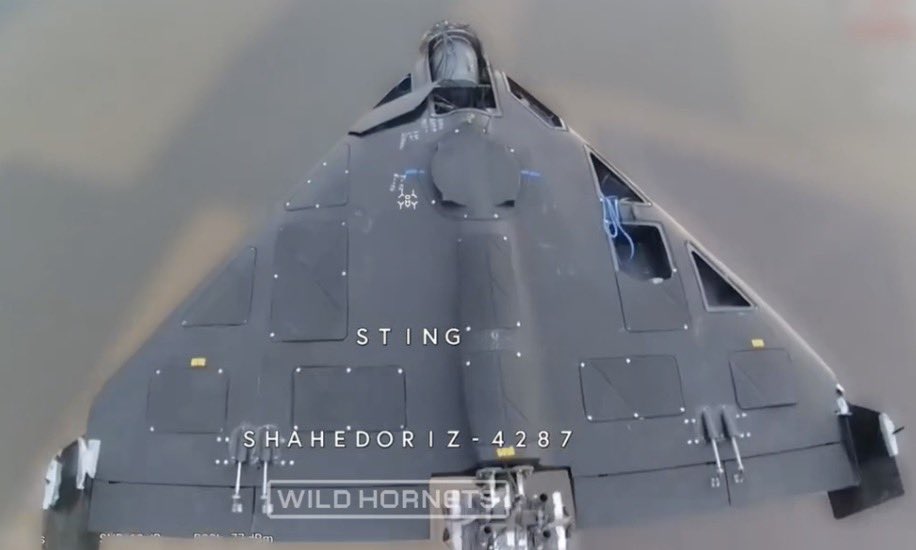 Special Kherson Cat 🐈🇺🇦 tweet media