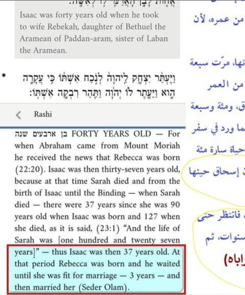 Birds Station tweet media