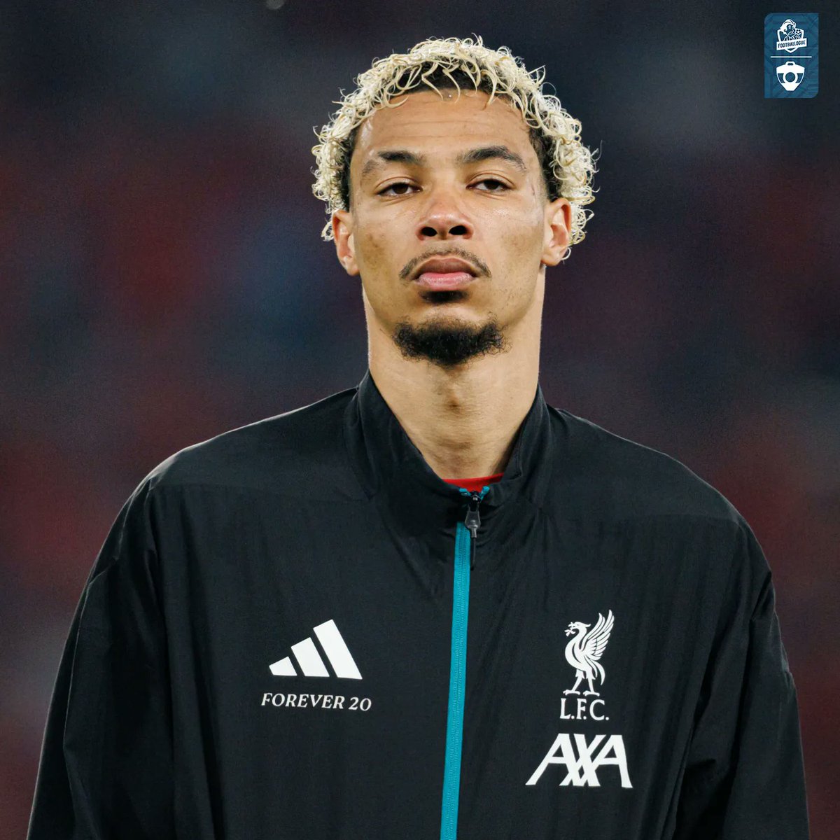 Footballogue tweet media