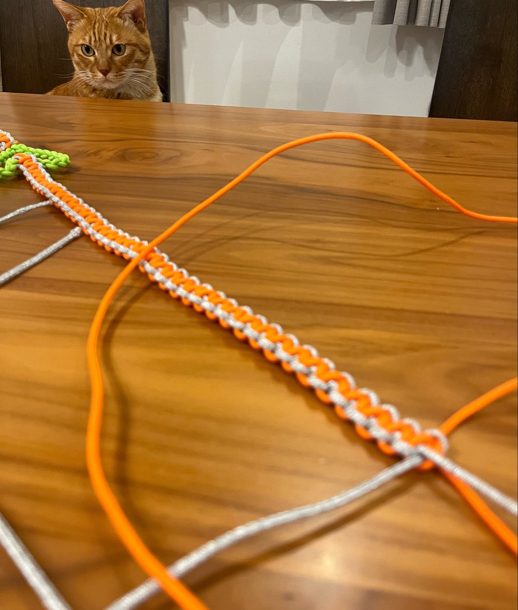 とらちゃん🍏4/18🧑‍🚀👼🧡 tweet media