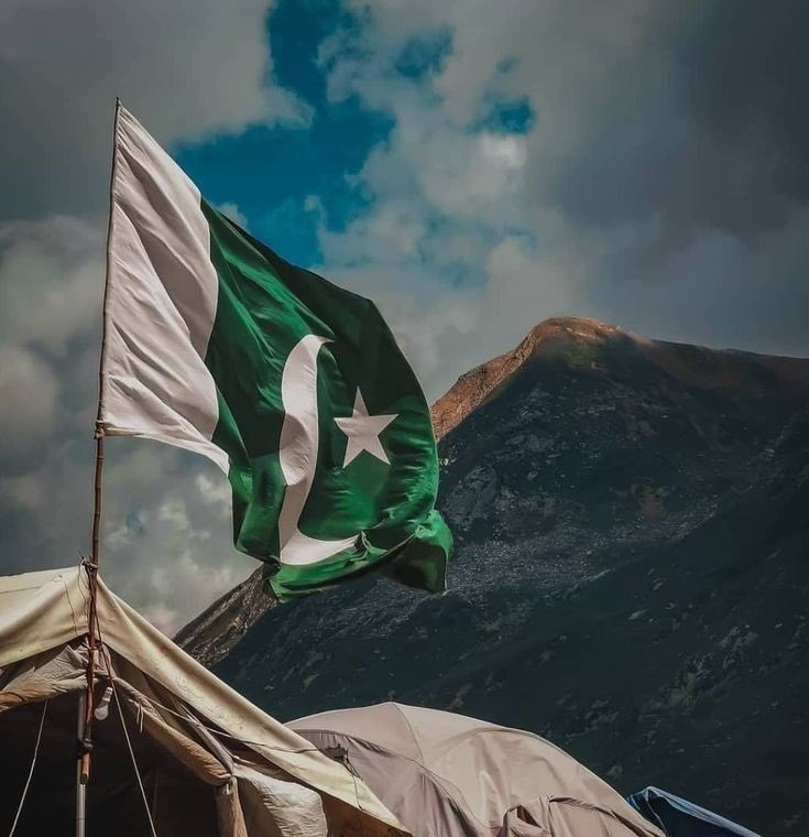 StrategicPulse tweet media