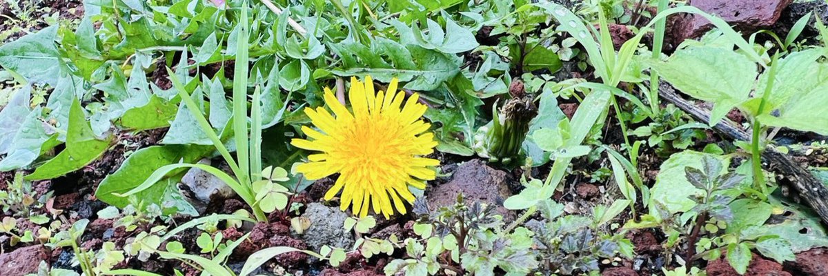 Interesting Display Pictures tweet media