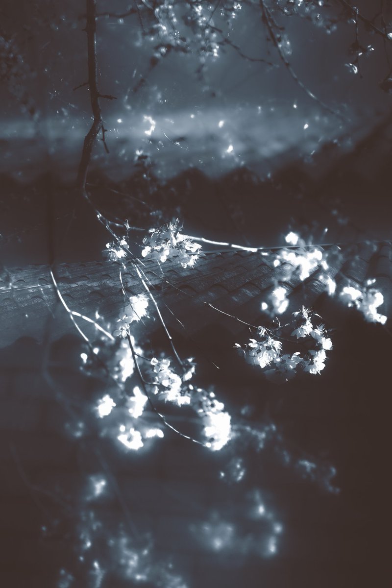 ✦ Ireen ✦ tweet media